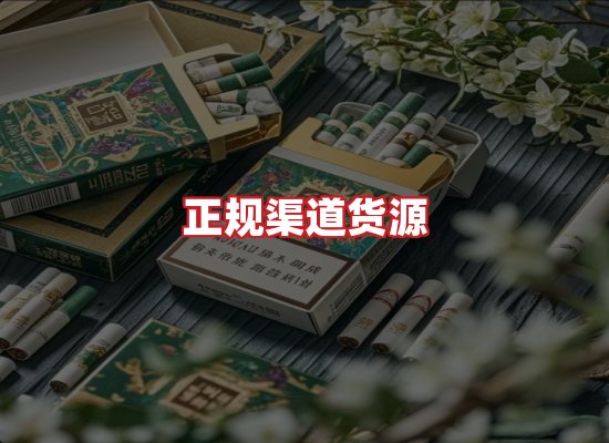 专业团队